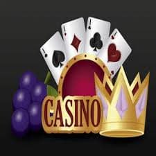 tiptop108 Live Sic Bo betting board showing all available wager types and payout ratios